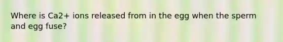 Where is Ca2+ ions released from in the egg when the sperm and egg fuse?