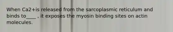 When Ca2+is released from the sarcoplasmic reticulum and binds to____ , it exposes the myosin binding sites on actin molecules.