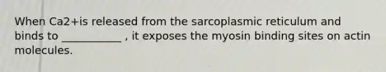 When Ca2+is released from the sarcoplasmic reticulum and binds to ___________ , it exposes the myosin binding sites on actin molecules.