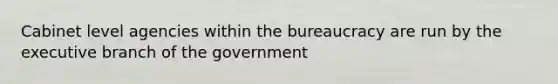 Cabinet level agencies within the bureaucracy are run by the executive branch of the government