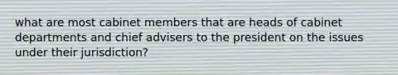 what are most cabinet members that are heads of cabinet departments and chief advisers to the president on the issues under their jurisdiction?