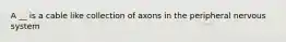 A __ is a cable like collection of axons in the peripheral nervous system