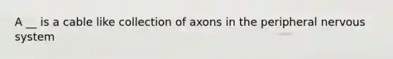 A __ is a cable like collection of axons in the peripheral nervous system