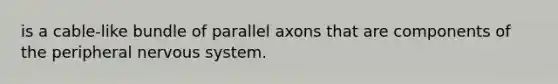 is a cable-like bundle of parallel axons that are components of the peripheral nervous system.