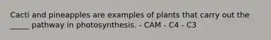 Cacti and pineapples are examples of plants that carry out the _____ pathway in photosynthesis. - CAM - C4 - C3