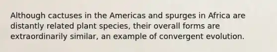 Although cactuses in the Americas and spurges in Africa are distantly related plant species, their overall forms are extraordinarily similar, an example of convergent evolution.