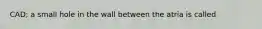 CAD; a small hole in the wall between the atria is called