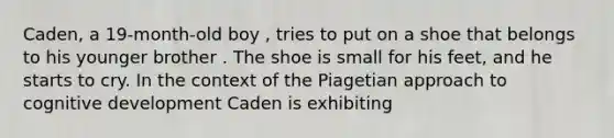 Caden, a 19-month-old boy , tries to put on a shoe that belongs to his younger brother . The shoe is small for his feet, and he starts to cry. In the context of the Piagetian approach to cognitive development Caden is exhibiting