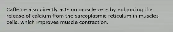 Caffeine also directly acts on muscle cells by enhancing the release of calcium from the sarcoplasmic reticulum in muscles cells, which improves muscle contraction.