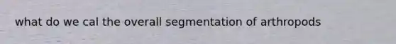 what do we cal the overall segmentation of arthropods