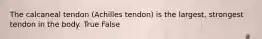 The calcaneal tendon (Achilles tendon) is the largest, strongest tendon in the body. True False