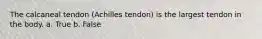 The calcaneal tendon (Achilles tendon) is the largest tendon in the body. a. True b. False