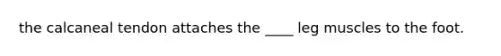 the calcaneal tendon attaches the ____ leg muscles to the foot.