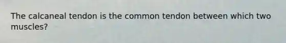 The calcaneal tendon is the common tendon between which two muscles?