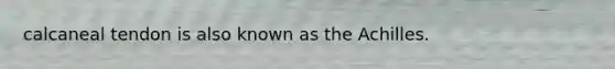 calcaneal tendon is also known as the Achilles.