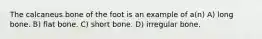 The calcaneus bone of the foot is an example of a(n) A) long bone. B) flat bone. C) short bone. D) irregular bone.