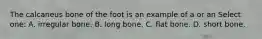 The calcaneus bone of the foot is an example of a or an Select one: A. irregular bone. B. long bone. C. flat bone. D. short bone.