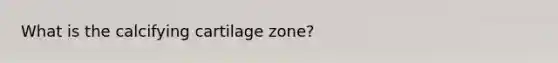 What is the calcifying cartilage zone?