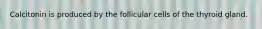Calcitonin is produced by the follicular cells of the thyroid gland.