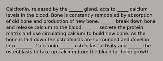 Calcitonin, released by the ______ gland, acts to _____ calcium levels in the blood. Bone is constantly remodeled by absorption of old bone and production of new bone. ______ break down bone and release calcium to the blood. ______ secrete the protein matrix and use circulating calcium to build new bone. As the bone is laid down the osteoblasts are surrounded and develop into _______. Calcitonin ______ osteoclast activity and ______ the osteoblasts to take up calcium from the blood for bone growth.