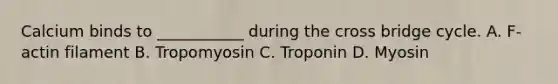 Calcium binds to ___________ during the cross bridge cycle. A. F-actin filament B. Tropomyosin C. Troponin D. Myosin