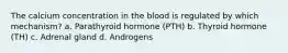 The calcium concentration in the blood is regulated by which mechanism? a. Parathyroid hormone (PTH) b. Thyroid hormone (TH) c. Adrenal gland d. Androgens