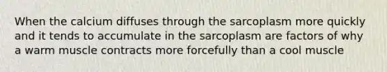 When the calcium diffuses through the sarcoplasm more quickly and it tends to accumulate in the sarcoplasm are factors of why a warm muscle contracts more forcefully than a cool muscle