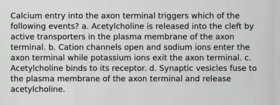 Calcium entry into the axon terminal triggers which of the following events? a. Acetylcholine is released into the cleft by active transporters in the plasma membrane of the axon terminal. b. Cation channels open and sodium ions enter the axon terminal while potassium ions exit the axon terminal. c. Acetylcholine binds to its receptor. d. Synaptic vesicles fuse to the plasma membrane of the axon terminal and release acetylcholine.