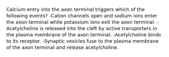 Calcium entry into the axon terminal triggers which of the following events? -Cation channels open and sodium ions enter the axon terminal while potassium ions exit the axon terminal. -Acetylcholine is released into the cleft by active transporters in the plasma membrane of the axon terminal. -Acetylcholine binds to its receptor. -Synaptic vesicles fuse to the plasma membrane of the axon terminal and release acetylcholine.