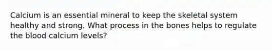 Calcium is an essential mineral to keep the skeletal system healthy and strong. What process in the bones helps to regulate the blood calcium levels?