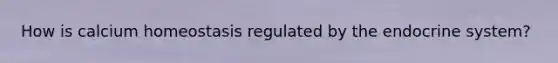 How is calcium homeostasis regulated by the endocrine system?