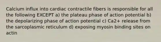 Calcium influx into cardiac contractile fibers is responsible for all the following EXCEPT a) the plateau phase of action potential b) the depolarizing phase of action potential c) Ca2+ release from the sarcoplasmic reticulum d) exposing myosin binding sites on actin