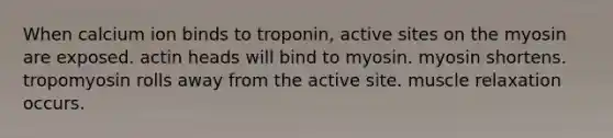 When calcium ion binds to troponin, active sites on the myosin are exposed. actin heads will bind to myosin. myosin shortens. tropomyosin rolls away from the active site. muscle relaxation occurs.