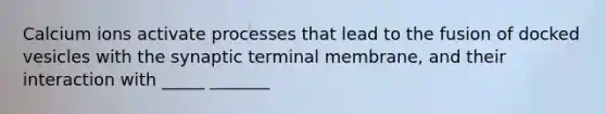 Calcium ions activate processes that lead to the fusion of docked vesicles with the synaptic terminal membrane, and their interaction with _____ _______