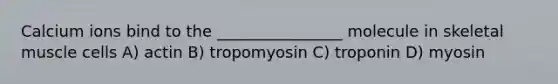 Calcium ions bind to the ________________ molecule in skeletal muscle cells A) actin B) tropomyosin C) troponin D) myosin