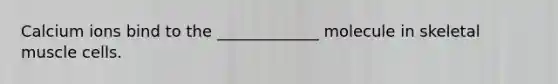 Calcium ions bind to the _____________ molecule in skeletal muscle cells.