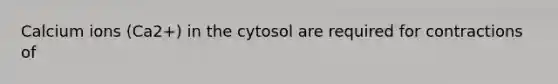 Calcium ions (Ca2+) in the cytosol are required for contractions of