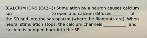 (CALCIUM IONS (Ca2+)) Stimulation by a neuron causes calcium ion __________________ to open and calcium diffuses ________ of the SR and into the sarcoplasm (where the filaments are). When neural stimulation stops, the calcium channels ___________, and calcium is pumped back into the SR.