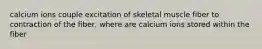 calcium ions couple excitation of skeletal muscle fiber to contraction of the fiber, where are calcium ions stored within the fiber