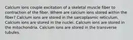 Calcium ions couple excitation of a skeletal muscle fiber to contraction of the fiber. Where are calcium ions stored within the fiber? Calcium ions are stored in the sarcoplasmic reticulum. Calcium ions are stored in the nuclei. Calcium ions are stored in the mitochondria. Calcium ions are stored in the transverse tubules.