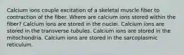 Calcium ions couple excitation of a skeletal muscle fiber to contraction of the fiber. Where are calcium ions stored within the fiber? Calcium ions are stored in the nuclei. Calcium ions are stored in the transverse tubules. Calcium ions are stored in the mitochondria. Calcium ions are stored in the sarcoplasmic reticulum.