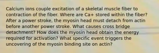 Calcium ions couple excitation of a skeletal muscle fiber to contraction of the fiber. Where are Ca+ stored within the fiber? After a power stroke, the myosin head must detach from actin before another power stroke. What causes cross bridge detachment? How does the myosin head obtain the energy required for activation? What specific event triggers the uncovering of the myosin binding site on actin?