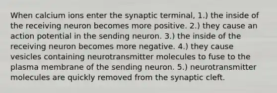 When calcium ions enter the synaptic terminal, 1.) the inside of the receiving neuron becomes more positive. 2.) they cause an action potential in the sending neuron. 3.) the inside of the receiving neuron becomes more negative. 4.) they cause vesicles containing neurotransmitter molecules to fuse to the plasma membrane of the sending neuron. 5.) neurotransmitter molecules are quickly removed from the synaptic cleft.