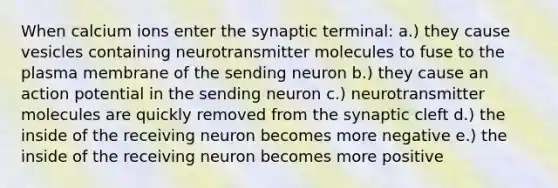 When calcium ions enter the synaptic terminal: a.) they cause vesicles containing neurotransmitter molecules to fuse to the plasma membrane of the sending neuron b.) they cause an action potential in the sending neuron c.) neurotransmitter molecules are quickly removed from the synaptic cleft d.) the inside of the receiving neuron becomes more negative e.) the inside of the receiving neuron becomes more positive