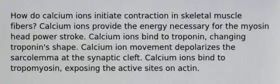 How do calcium ions initiate contraction in skeletal muscle fibers? Calcium ions provide the energy necessary for the myosin head power stroke. Calcium ions bind to troponin, changing troponin's shape. Calcium ion movement depolarizes the sarcolemma at the synaptic cleft. Calcium ions bind to tropomyosin, exposing the active sites on actin.