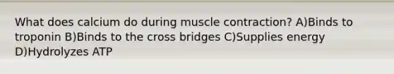 What does calcium do during muscle contraction? A)Binds to troponin B)Binds to the cross bridges C)Supplies energy D)Hydrolyzes ATP