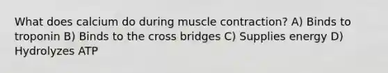 What does calcium do during muscle contraction? A) Binds to troponin B) Binds to the cross bridges C) Supplies energy D) Hydrolyzes ATP