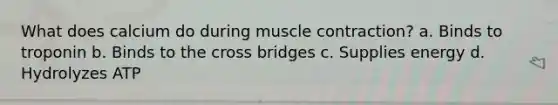 What does calcium do during muscle contraction? a. Binds to troponin b. Binds to the cross bridges c. Supplies energy d. Hydrolyzes ATP