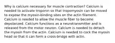 Why is calcium necessary for muscle contraction? Calcium is needed to activate troponin so that tropomyosin can be moved to expose the myosin-binding sites on the actin filament. Calcium is needed to allow the muscle fiber to become depolarized. Calcium functions as a neurotransmitter and is released from the motor neuron. Calcium is needed to detach the myosin from the actin. Calcium is needed to cock the myosin head so that it can form a cross-bridge with actin.