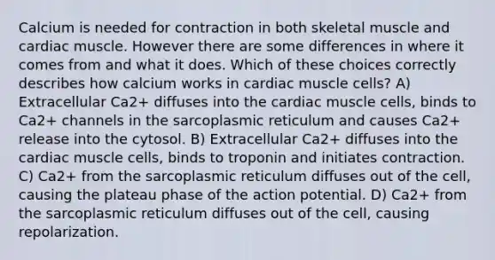 Calcium is needed for contraction in both skeletal muscle and cardiac muscle. However there are some differences in where it comes from and what it does. Which of these choices correctly describes how calcium works in cardiac muscle cells? A) Extracellular Ca2+ diffuses into the cardiac muscle cells, binds to Ca2+ channels in the sarcoplasmic reticulum and causes Ca2+ release into the cytosol. B) Extracellular Ca2+ diffuses into the cardiac muscle cells, binds to troponin and initiates contraction. C) Ca2+ from the sarcoplasmic reticulum diffuses out of the cell, causing the plateau phase of the action potential. D) Ca2+ from the sarcoplasmic reticulum diffuses out of the cell, causing repolarization.